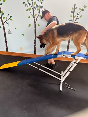 DoggieLand Play Park LLC
